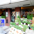 開店35年目の昔ながらの洋食.喫茶店です。