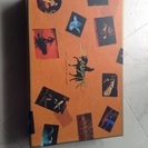 DVD ジンガロ  6枚