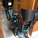 アンジェリーノプティットe