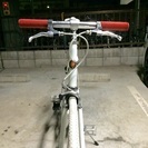 TOKYOBIKE SS／トーキョーバイク シングルスピード 固定ギア フレームサイズ L