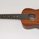 Luna Guitars All Solid Koa Orchi...