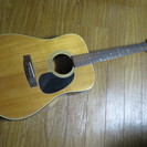 Morris W-15 アコースティックギター