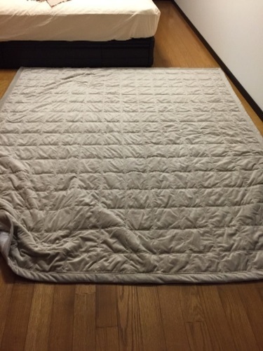 新品 こたつ絨毯 MUJI