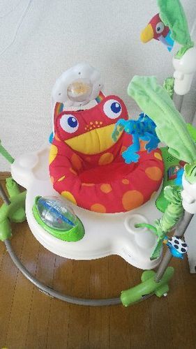 引き取り先が決まりました＊フィッシャープライス ジャンパルー　レインフォレスト