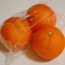サンプル　オレンジ　3個　！食べられません！　