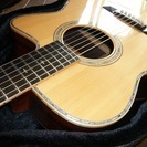 アストリアス　ソロプレミアム　ハードケース付き