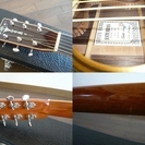 アストリアス　ソロプレミアム　ハードケース付き