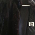 黒ｻｶﾞﾐﾝｸ  交渉有