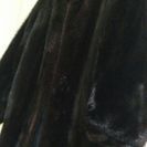 黒ｻｶﾞﾐﾝｸ  交渉有