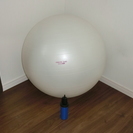 バランスボール　65cm　ホワイト