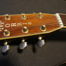 アコースティックギター　Morris　TFー８０１