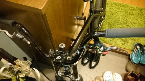 相当レアなＢＭＸらしいです！急いでいるので早めにお願いします！！