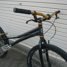 トライアル　SPEEDRACE　黒26インチ