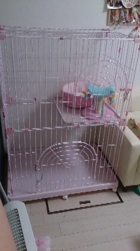 キャットケージ