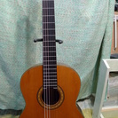 クラシックギター カワイ　G-300