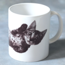 ねこ藩◆飼い主のいない猫と殺処分を減らしたい：寄付金付きマグカップの販売 - 市川市