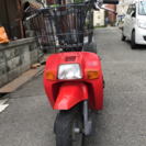 商談中‼️だけど不動HONDA スカッシュ