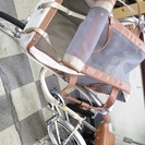 [2360]ペット乗せ自転車　ふらっか〜ずペット　マルイシ　20インチ　内装3段変速　オートライト　前輪オートロック　ローラーブレーキ　BAA自転車安全基準適合　ベージュ