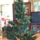 終了：大きなクリスマスツリー