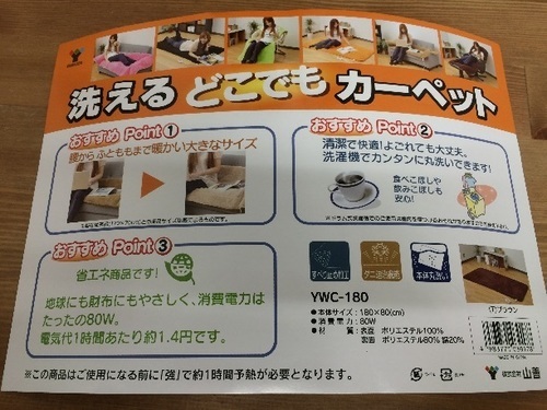 新品！どこでもカーペット！ホットカーペット