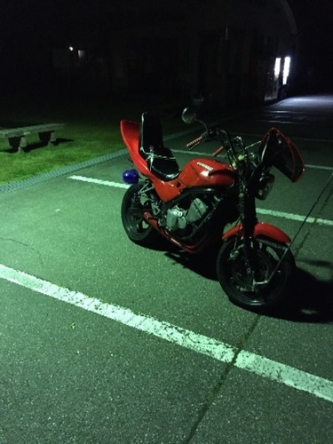 バリオス250