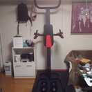 マルチトレーニング器具を売ります。（チンニング・ディップス・プッシュアップ・ニーレイズが可能）マット付きです。「おまけに８キロのダンベル２個つけます」