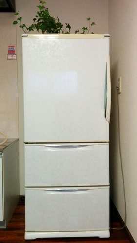 終了しました：冷蔵庫11月末引き渡し希望　サンヨー255ℓ