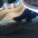 日野プロフィア メッキバンパー美品