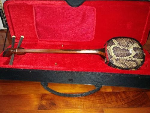 三線本体 ハードケース付き 三線本体 ハードケース付き 三線用ハードケース 肩掛け付き : 琉球楽器