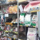 チワワ専門犬舎直営のペット用品専門店 - 津山市