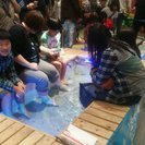 Fish Spa イベントスタッフ