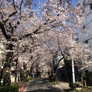 アベニュー目黒西小山 − 東京都