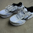 ミズノのマキシマイザー（運動靴）２６．５センチ