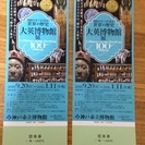 【神戸市立博物館】大英博物館展チケット2枚組