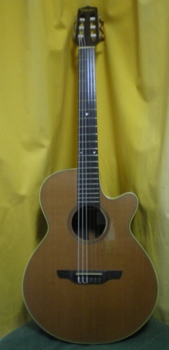 Takamine タカミネ エレガット NPT-110N