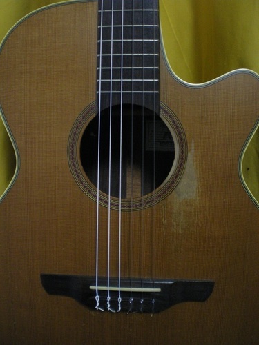 Takamine タカミネ エレガット NPT-110N | bdmpiura.com