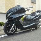 【年末セール！】マジェスティC 250 ブラック 実働車！