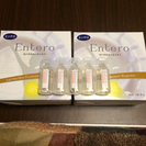 エンテロ(Entero)複合乳酸菌生産エキス 2箱
