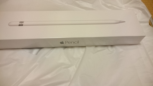 【新品未使用】 Apple Pencil iPad Pro用 アップルペンシル