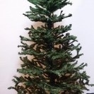 【値下げ】クリスマスツリー 200cm 電飾・飾り付き