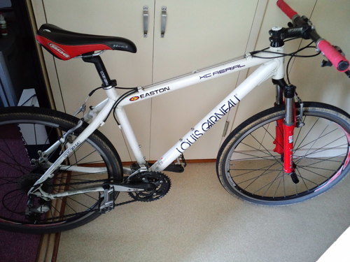 LOUIS GARNEAU　2007年式　LGS-XC AERIAL