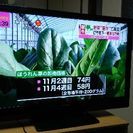 レグザ 40A1  2010年製 購入意志がある方！