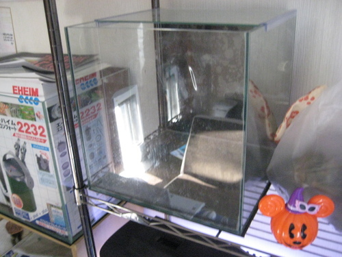 ガラス水槽×２（ＡＤＡ６０㎝、３０㎝キューブ）、エーハイムエココンフォート2232、その他、合わせてお売りします