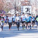 『締め切り間近！』1/30(土)　お台場RUNRUNRUN 　ボランティア募集！の画像