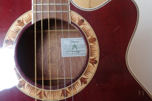 タカミネエレアコ Takamine PT-508