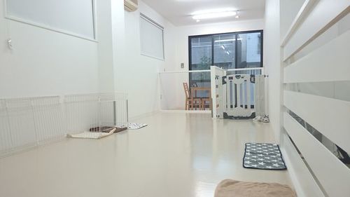 犬の学童教室 犬のひみつきちで いぬいく はじめましょう 犬のひみつきち 森下の犬の無料広告 無料掲載の掲示板 ジモティー