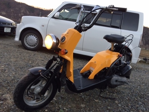 ホンダ 　人気のバイト 　BITE 　AF59　実動車