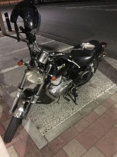 ボルティ250