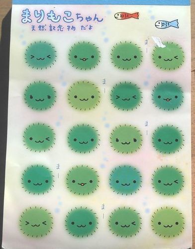 北海道限定天然記念物まりもこちゃんのメモ帳 Kaori 横浜のその他の中古あげます 譲ります ジモティーで不用品の処分