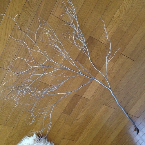 大きいドウダンツツジの枝 おしゃれなインテリアに アダチ 札幌のその他の中古あげます 譲ります ジモティーで不用品の処分